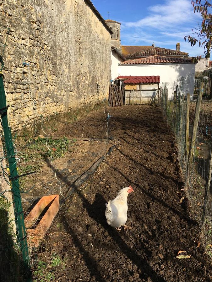 Gites Jardin-Darcy - Piscine Au Sel Bois Exterior foto