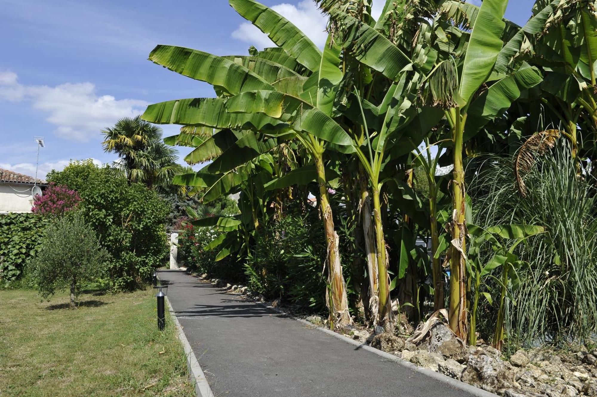Gites Jardin-Darcy - Piscine Au Sel Bois Exterior foto