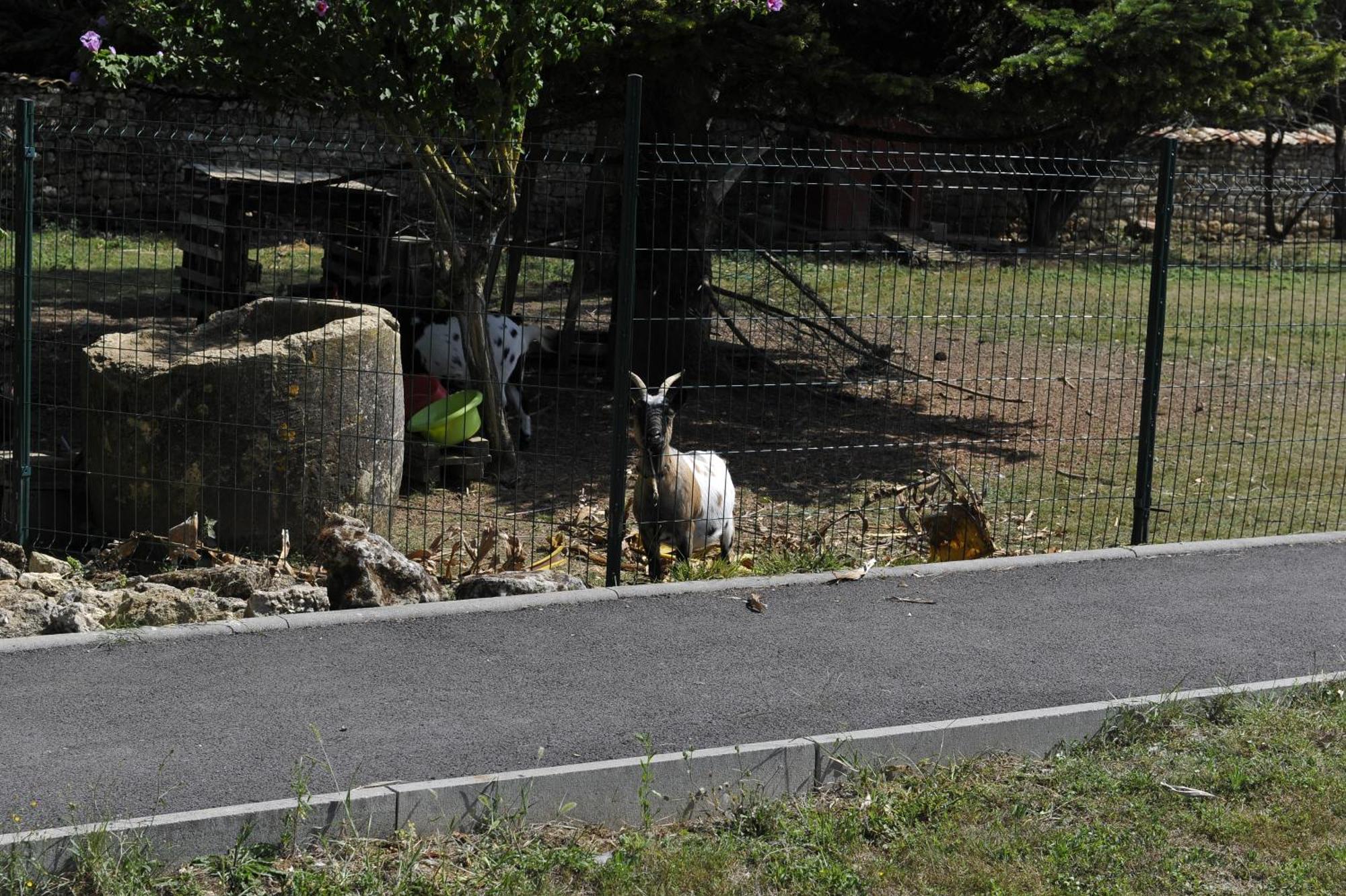 Gites Jardin-Darcy - Piscine Au Sel Bois Exterior foto